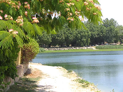 Lac de Besse-sur-Issole