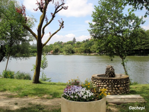 Etang d'Anneyron