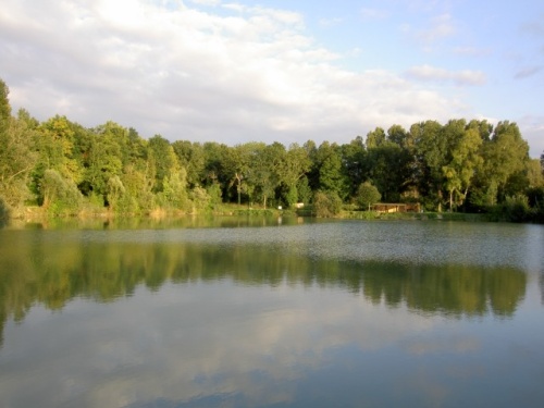 Etang Au Poisson Rouge