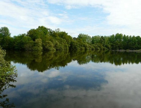 Domaine de Brusson (79) Domaine de Brusson (79)