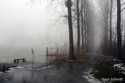 Ballastière de Donchery