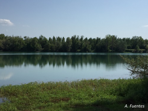 Etang d'Arbanats Etang d'Arbanats