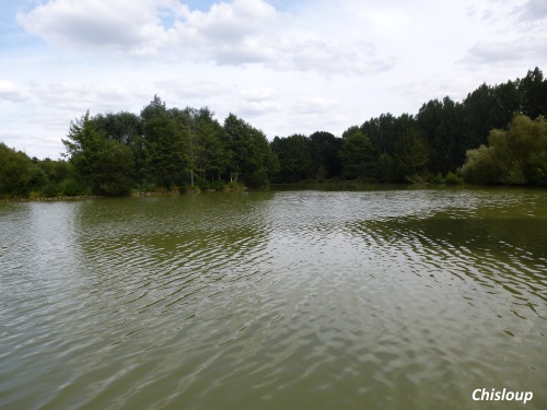Etang de Bourgbarré