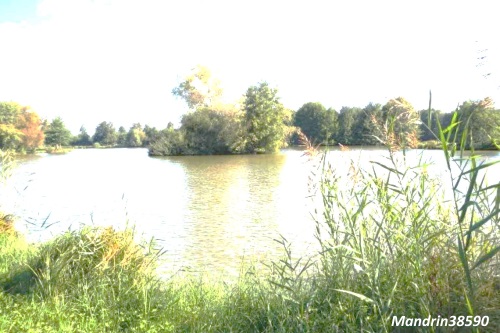 Etang de Chanclau