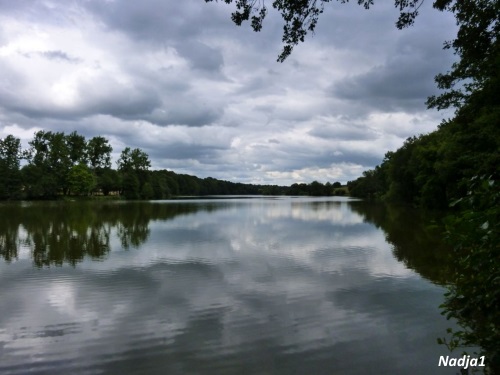 Etang de Chevré