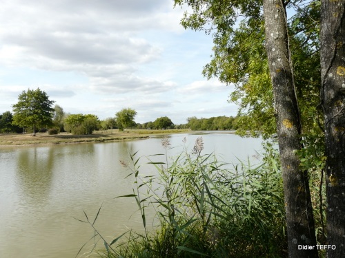 Etang de Bout de Bois