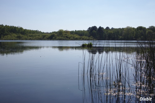 Etang de Joreau