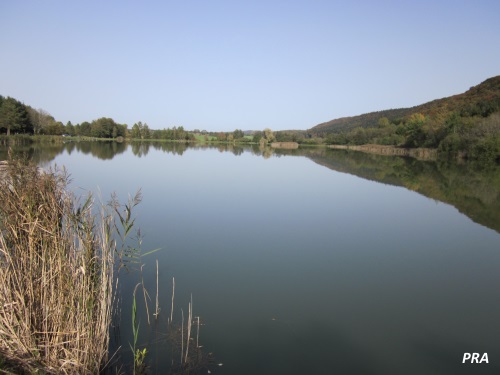 Etang de l'Heute (ou Lac de Besain)
