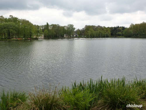 Etang de la Forêt Etang de la Forêt