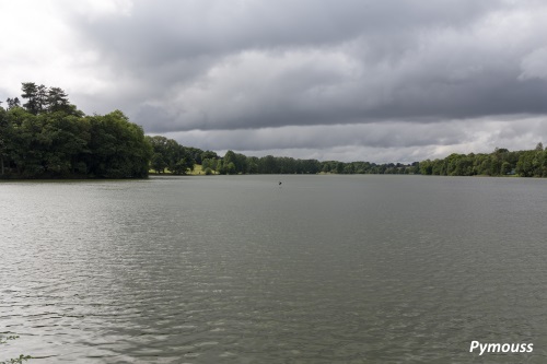 Etang de la Forge Etang de la Forge