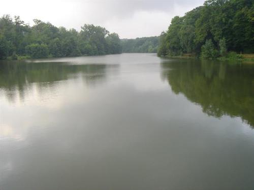 Etang de la Geneste