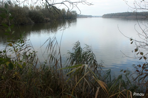 Etang de la Horre Etang de la Horre