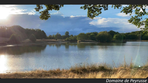 Etang de la Niaiserie