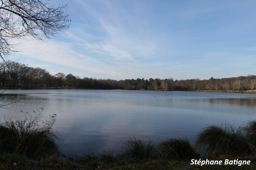 Etang de La Rocquennerie Etang de La Rocquennerie