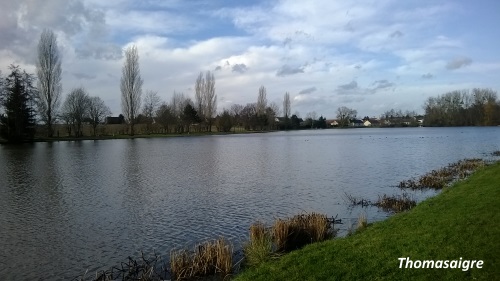 Etang de Nogent sur Vernisson
