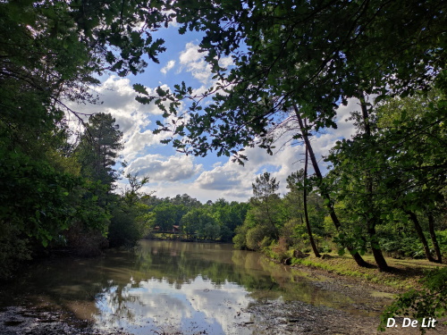 Etang de Pradelou