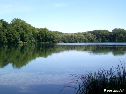 Etang de Saint Vaast lès Mélo