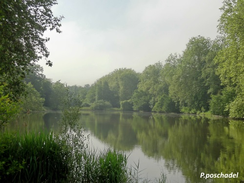 Etang de Sainte-Perine