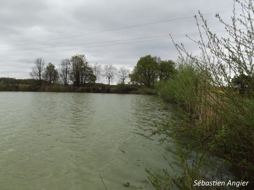 Etang des Brandes