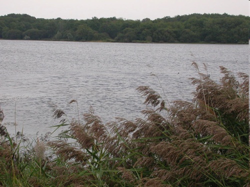 Etang des Noues Etang des Noues