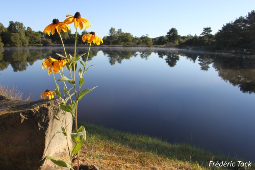 Etang des Pierres du Mas Etang des Pierres du Mas