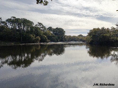 Etang du Cardinal