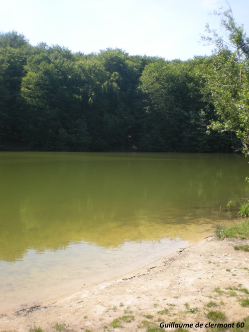 Etang du Fond de la Garde Etang du Fond de la Garde