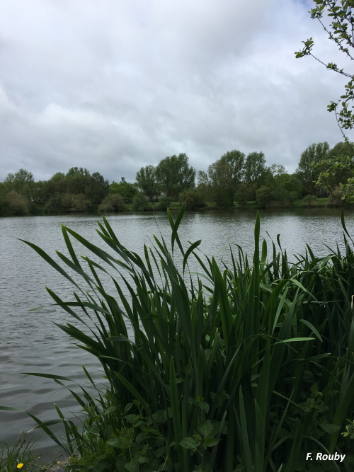 Etang du Moulin à Vent