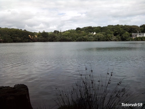 Etang du Ter Etang du Ter
