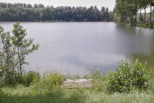 Etang le Vert Pêcheur