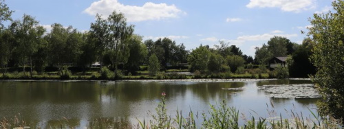Etangs du plateau des Landes