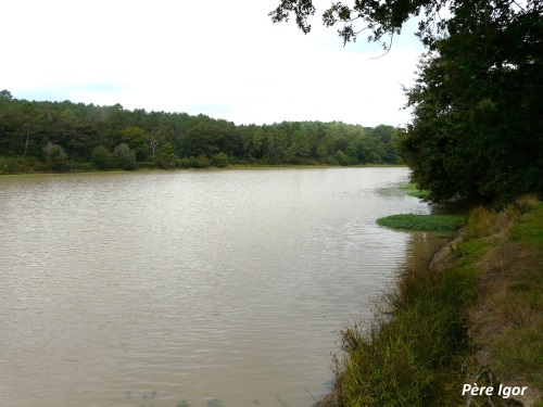 Etang de Farganaud