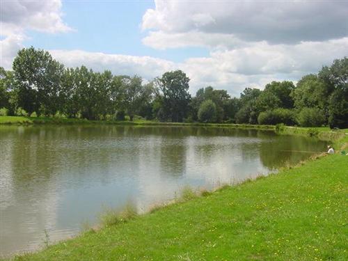 Etang de La filée
