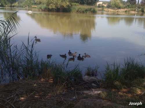 Plan d'eau de Fontvenelle