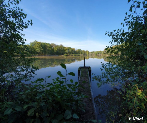 Izy Carp Lake Izy Carp Lake