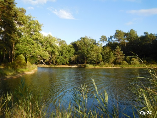 Etang de la Jemaye