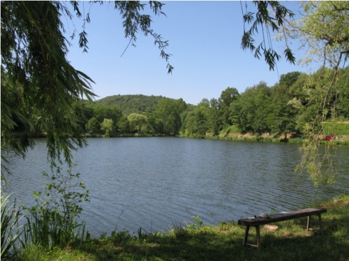 Etang de la Bricotte 