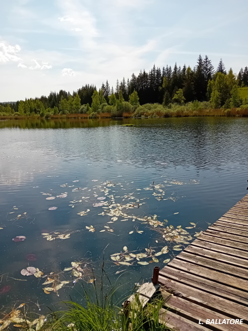 Lac du Ratay