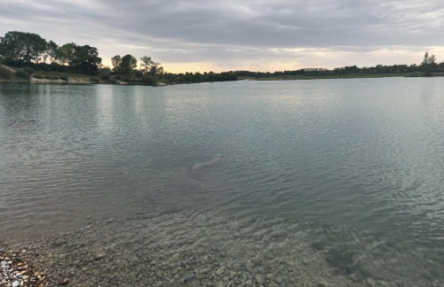 Lacs de la Forestiere