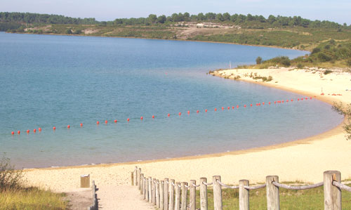 Lac d'Arjuzanx