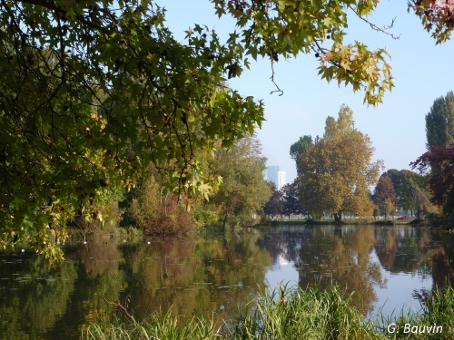 Etang de Longchamp Etang de Longchamp