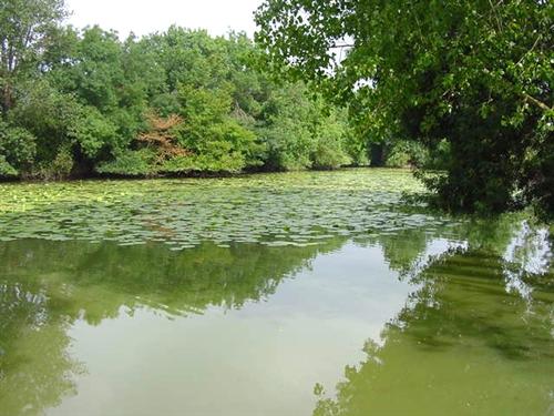 Boire de Longuemine Boire de Longuemine