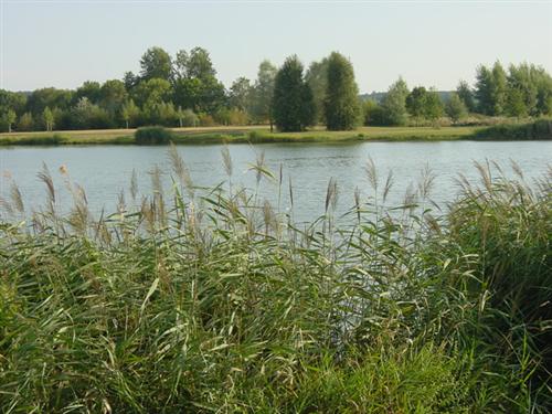 Les lacs de la Monnerie