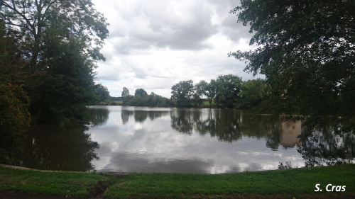 Petit étang de Saint-Jeanvrin