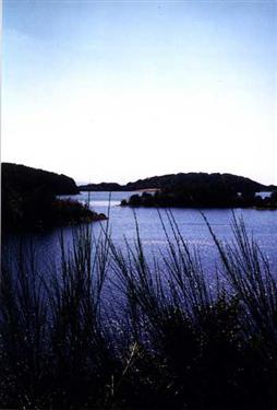 Lac de Lastioulles