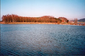 Etang de la Mutche