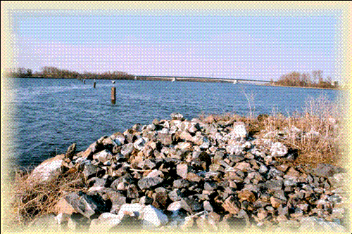 Plan d'eau de Plobsheim Plan d'eau de Plobsheim