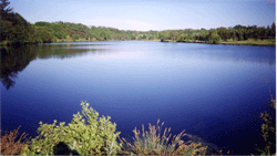 Domaine de la Ribiere