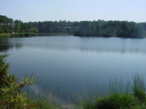 Etang de Beauchamp