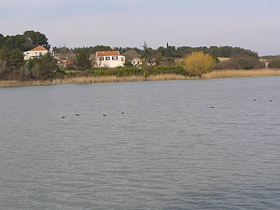 Lac du Réaltor (13)